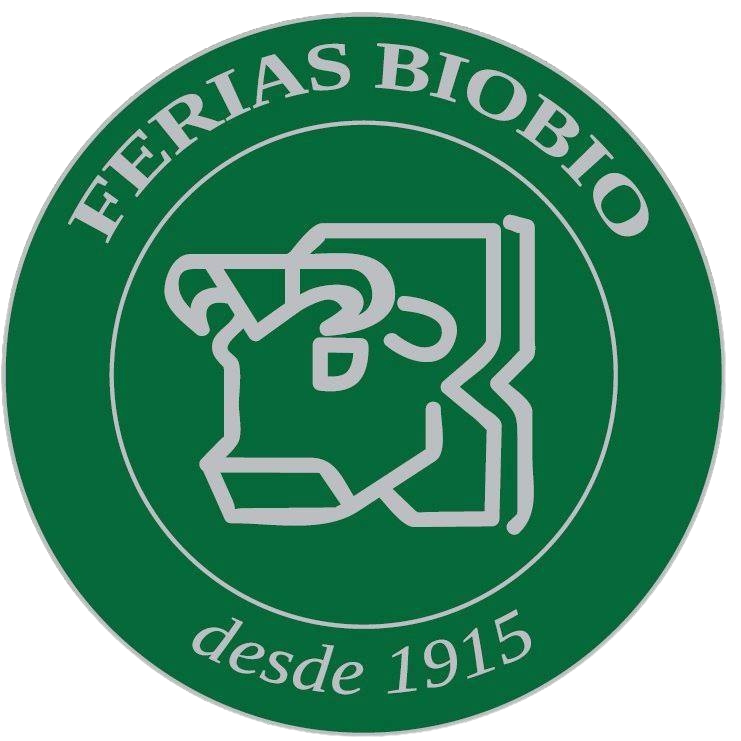 Logo Ferias Bio Bio
